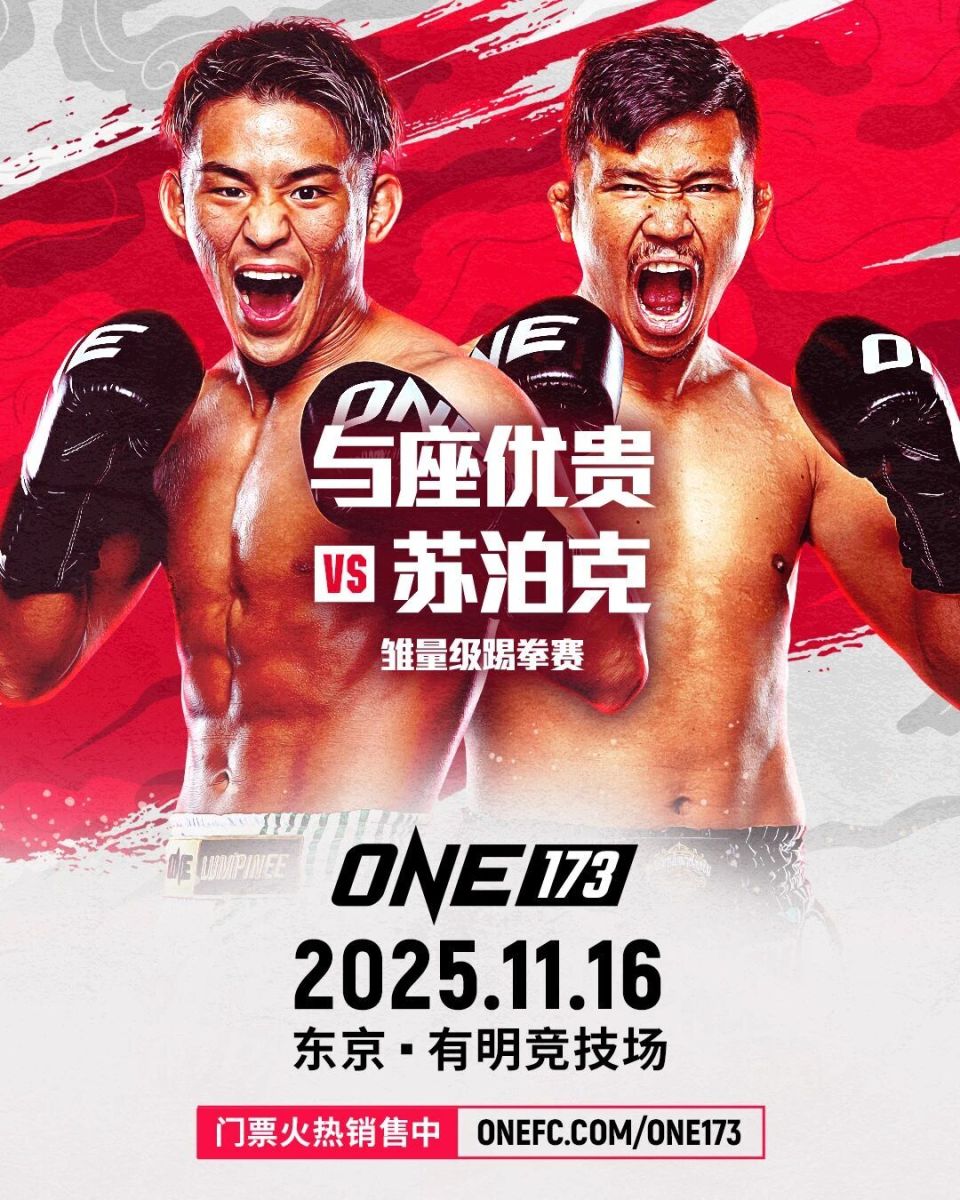 它不仅关乎, om, 现役雏量级 它不仅关乎, om, 现役雏量级