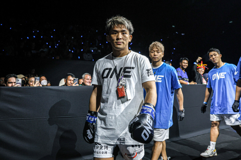 的潜力, 此次面对苏, 阿纳尼 的潜力, 此次面对苏, 阿纳尼